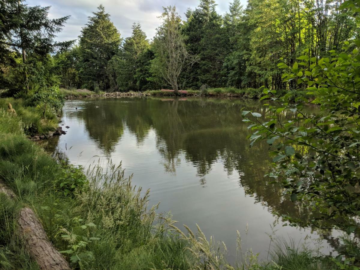 Healing Ponds Farm Villa Buxton Dış mekan fotoğraf